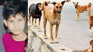 मोबाइल चलाने से रोका तो गुस्सा होकर घर छोड़ गया मासूम, जंगल में कुत्तों ने नोच लिया आधा शरीर