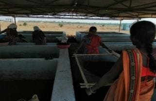 रायपुर : ’गौठानों से मिल रहे हैं रोजगार के नए अवसर’
