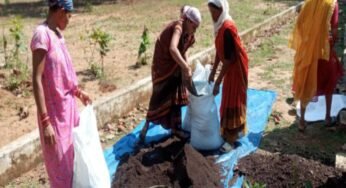नारायणपुर : वर्मी खाद बनाकर जय श्रीराम स्व-सहायता समूह के महिलाओं ने कमाएं 84 हजार रूपये से अधिक