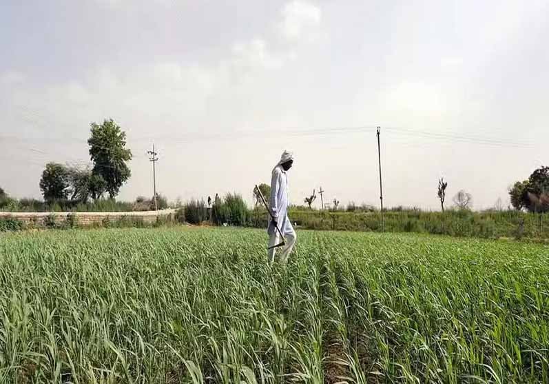 जयकिसान कर्जमाफी योजना के तहत 2.5 लाख किसानों को अभी भी ब्याज माफी की उम्मीद