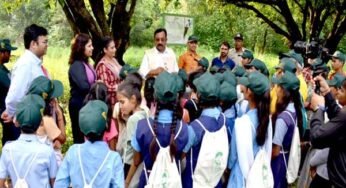 पेड़-पौधों से दूसरों के लिए निस्वार्थ भाव से जीना सीखें : वन मंत्री डॉ. शाह