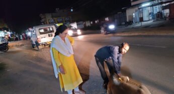 कोरिया : रोका छेका अभियान के तहत घुमंतु पशुओं को लगया जा रहा रेडियम बेल्ट एवं टैंग