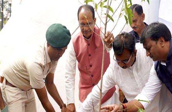 मुख्यमंत्री चौहान ने लगाया मौलका पौधा