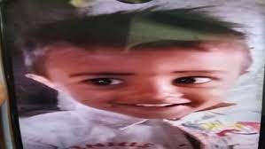 MP : मधुमक्खियों के काटने से 3 साल के रविंद्र की मौत, मां और बड़ा बेटा भी गंभीर घायल