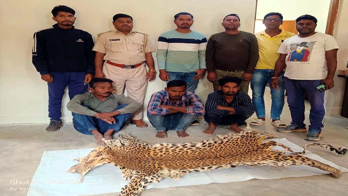 गरियाबंद : तेंदुए की खाल बेचने के फिराक में घूम रहे 3 आरोपी गिरफ़्तार
