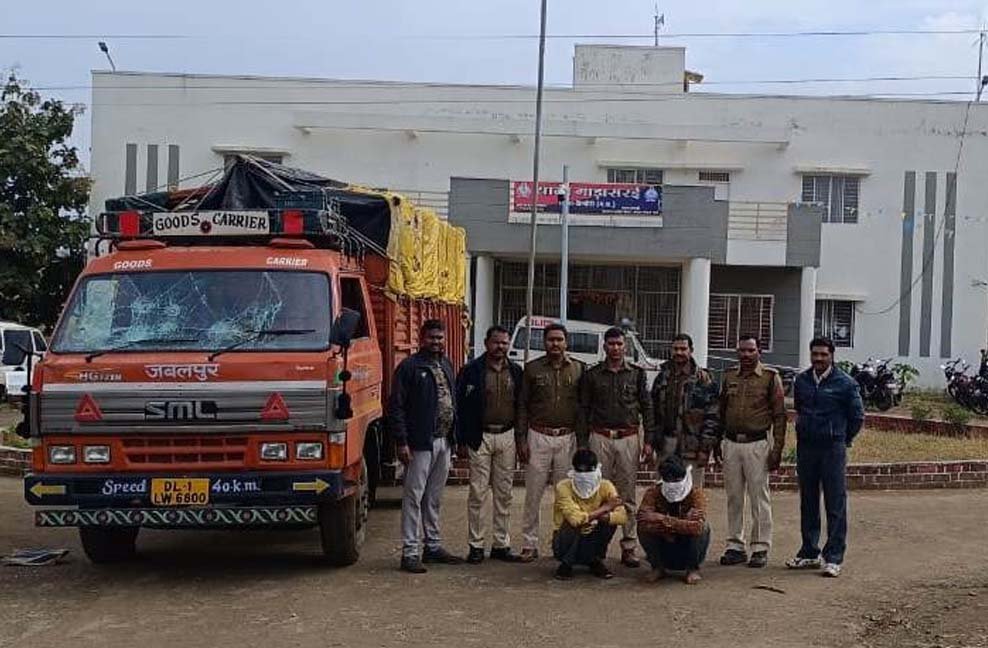 थाना गाडासरई पुलिस द्वारा भैंस-पड़ां को क्रूरतापूर्वक वाहन में परिवहन करते पकड़े दो आरोपियों के विरूध्द कार्यवाही कर मवेशी व वाहन जप्त किया गया