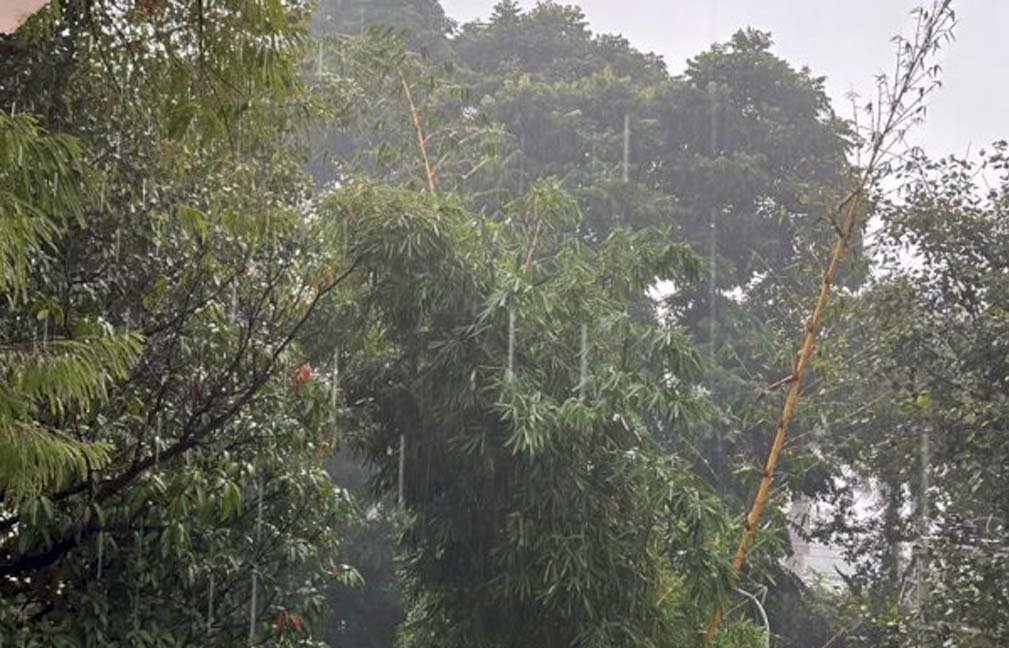 राजधानी भोपाल में सुबह तेज बारिश, 14 जिलों में ऑरेंज अलर्ट