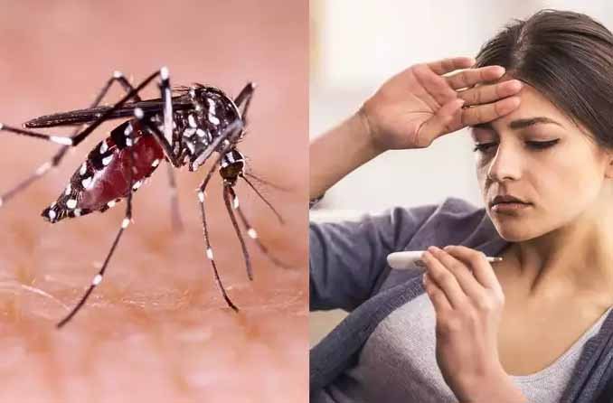 15 दिन और रहे सावधान तो बचे रहोगे डेंगू से