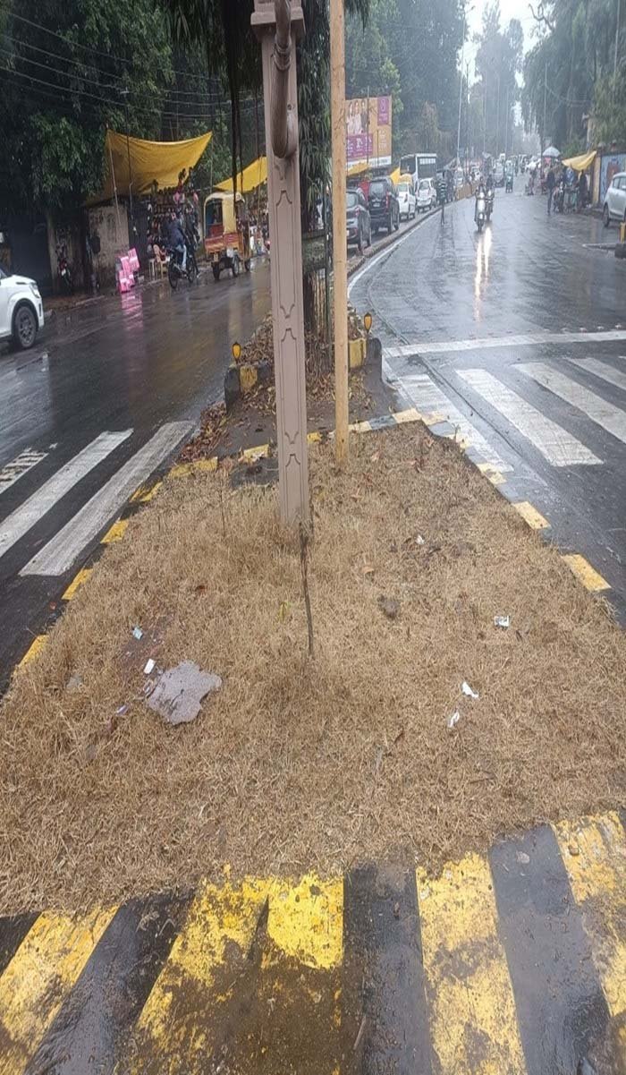 चौराहों में लगाए महंगे पौधे गायब, अब फिर लगवा रहे