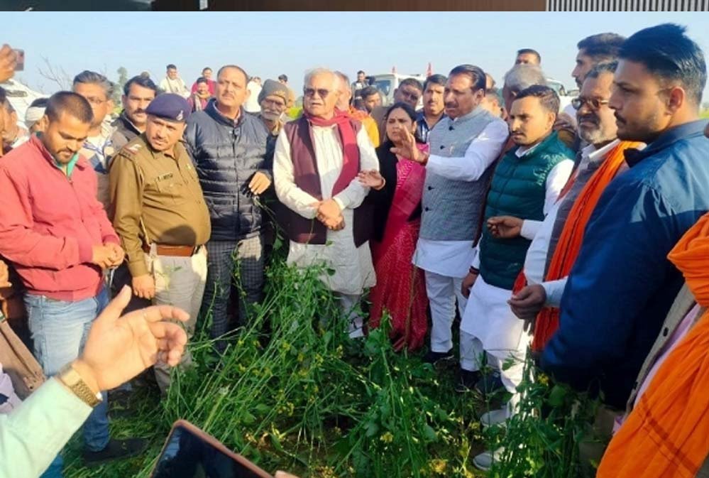 ओला पीड़ित किसानों के नुकसान की भरपाई करेगी सरकार : कृषि मंत्री कंषाना