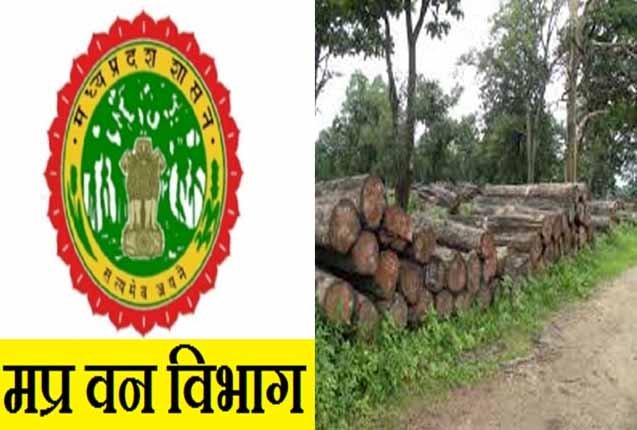 वन विभाग स्थानीय समुदाय को आत्मनिर्भर बनाने की शुरू की कवायद