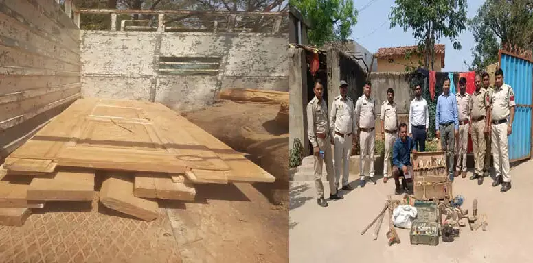 CG : बढ़ई गिरफ्तार, सागौन लकड़ी परिवहन करते पकड़ाया
