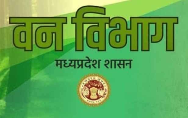 वन विभाग ने कर्मचारियों को लेकर पहली बार किया अनूठा प्रयोग