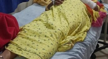 कुबेरेश्वर धाम में चल रहे सात दिवसीय महाशिवपुराण रुद्राक्ष महोत्सव में साउंड सिस्टम गिरने से बुर्जुग महिला सहित पांच घायल