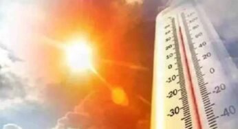 उत्तरी हवाओं की रफ्तार थमी तो धूप ने दिन में गर्मी दिखाई, तापमान पहुंचा 30 डिग्री पर