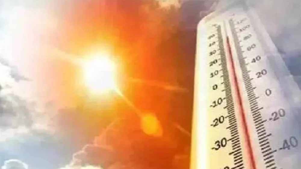 उत्तरी हवाओं की रफ्तार थमी तो धूप ने दिन में गर्मी दिखाई, तापमान पहुंचा 30 डिग्री पर