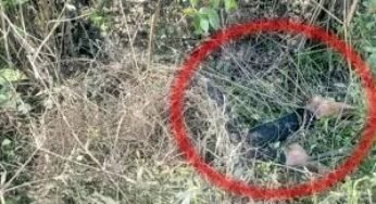 CG : घास में मिली युवती की लाश, नाक-मुंह से बह रहा था खून