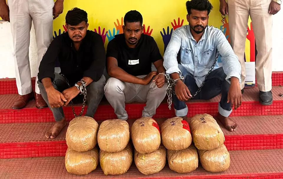 CG : 21 किलो गांजा के साथ 3 अंतरराज्यीय तस्कर गिरफ्तार