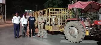 CG : सड़क में बैठे रहने वाले आवारा मवेशियों को पकड़कर भेजा गया कांजी हाउस