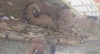 दमोह में दहशत में आए ग्रामीण डैम से निकलकर रिहायशी इलाके में पहुंचा मगरमच्छ