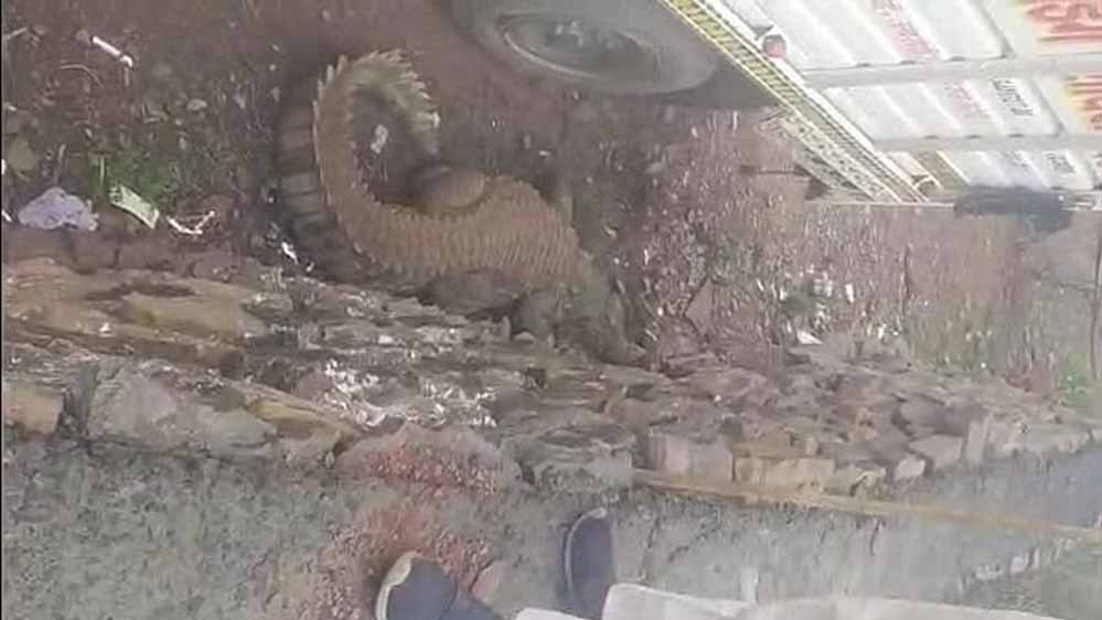 दमोह में दहशत में आए ग्रामीण डैम से निकलकर रिहायशी इलाके में पहुंचा मगरमच्छ