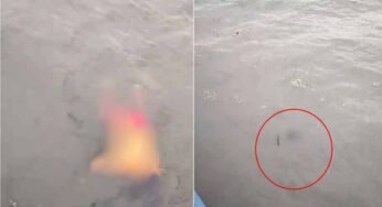 बड़े तालाब में मिले महिला-पुरुष के शव, गाडी से हुई महिला की शिनाख्त, पुरुष की नहीं हुई पहचान
