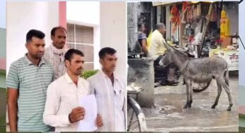 बुरहानपुर में गधे चोरी की शिकायत लेकर एसपी के पास पहुंचे पशुपालक