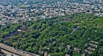 इंदौर और जबलपुर शहरी क्षेत्र में सिटी फारेस्ट बनाने की तैयारी तेज
