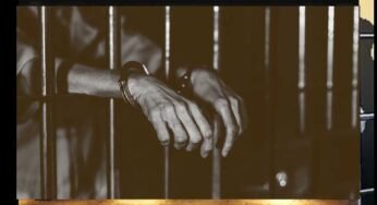 विद्युत चोरी में आरोपियों को 1-1 लाख रूपये से अधिक के अर्थ दंड सहित 3-3 माह का कठोर कारावास