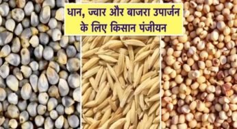 धान, ज्वार और बाजरा उपार्जन के लिए 6 जिलों में किसान पंजीयन 21 अक्टूबर तक