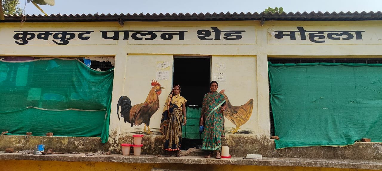 CG : मुर्गी पालन और बटेर पालन से महिला समूह गढ़ रही है अपने भविष्य के सपने