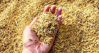 CG : धान बेचने टोकन सिस्टम को लेकर किसानों के लिए अहम खबर