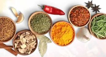 मध्यप्रदेश के किसानों ने मसाला फसलों के उत्पादन में नया कीर्तिमान स्थापित किया, मिर्च के उत्पादन में दूसरा स्थान