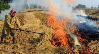 मध्य प्रदेश में इस साल पराली जलाने के मामले पिछले साल के मुकाबले ज्यादा