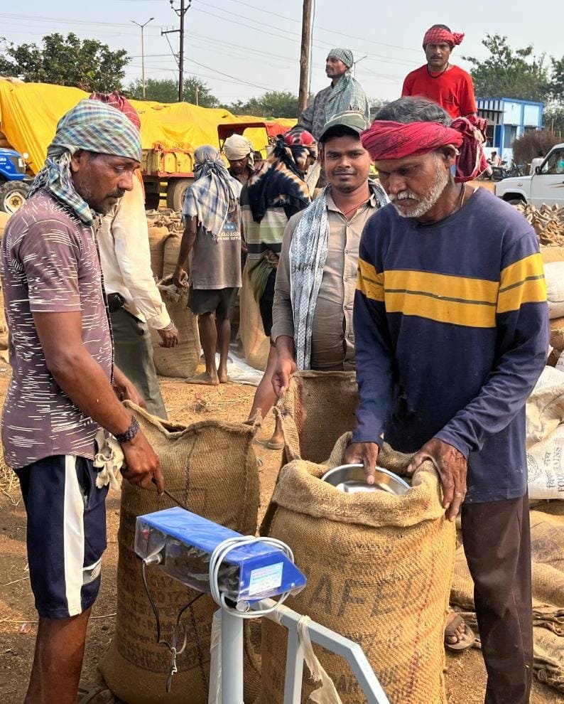 CG : छत्तीसगढ़ में अब तक 32.29 लाख मीट्रिक टन धान की हुई खरीदी