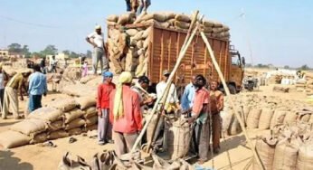 मध्य प्रदेश में समर्थन मूल्य पर धान की खरीदी जारी, अब तक 2.11 लाख किसानों से 14 लाख मीट्रिक टन हुई खरीदी