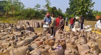 अब तक खरीदी गई 40 लाख मीट्रिक टन से अधिक धान