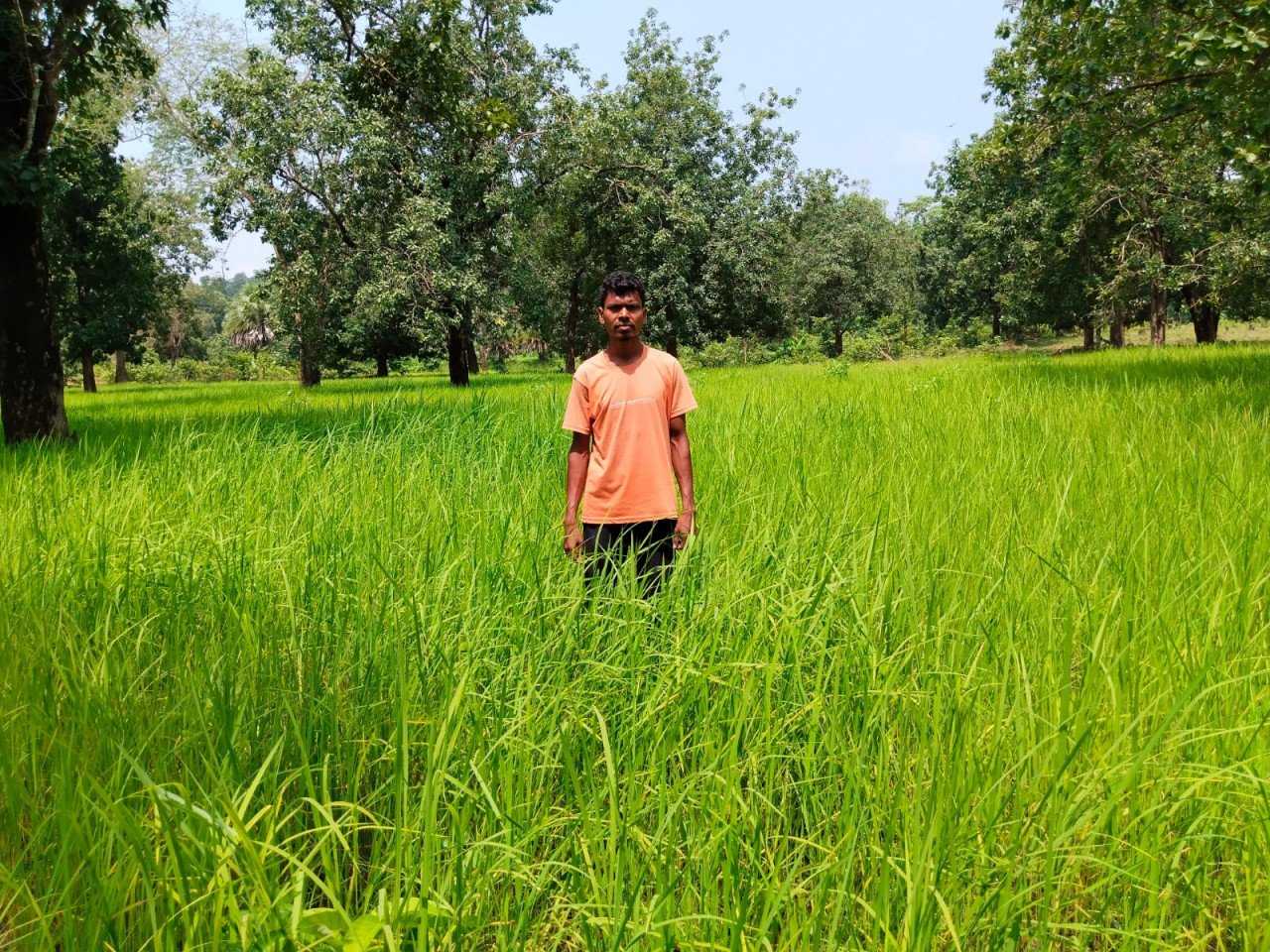CG : सुकमा भूमि रामतलीकरण से हेमला नंदा के जीवन में आई ख़ुशहाली…