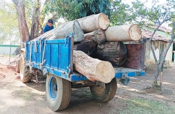 CG : अवैध लकड़ी की तस्करी, प्रशासन ने किया जब्त