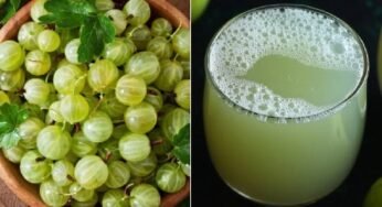रोज पीएं आंवले का पानी