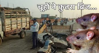 अशोकनगर जिले में ब्रिज को ही कुतर गए चूहे, शहर के ब्रिज धंसता देख पीडब्ल्यूडी के उड़े होश