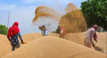 गेहूँ उपार्जन के लिये 31 मार्च तक होगा पंजीयन-खाद्य मंत्री राजपूत