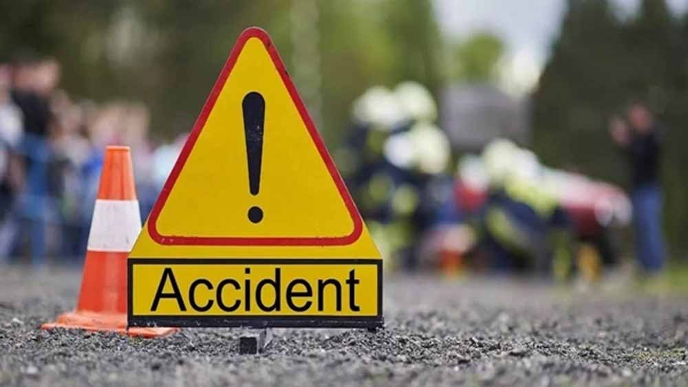 इंदौर से प्रयागराज जा रही यात्री बस ने बाड़ी के पास सड़क पर बैठी 18 गायों को कुचला, 13 की मौत