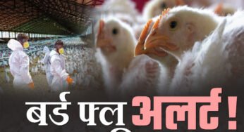 छिंदवाड़ा में बर्ड फ्लू की पुष्टि, जिला प्रशासन फ्रंट फुट पर, मुर्गे-मुर्गियों को नष्ट कर 1 महीने के लिए नॉनवेज बेचने पर बैन, सभी जिलों में अलर्ट