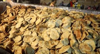 बागेश्वर धाम में सामूहिक विवाह समारोह के लिए महा भंडारे का आयोजन