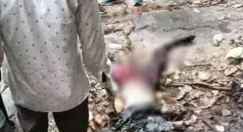 CG : युवती की लाश वाटरफॉल में मिली