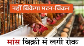 नवरात्रि में मैहर, भोपाल और इंदौर में भी नहीं बिकेगा मांस, दुकानों का लाइसेंस रद करने का आदेश