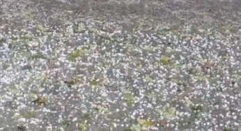 अप्रैल के शुरुआती दिनों में मध्यप्रदेश में ओले-बारिश और आंधी का स्ट्रॉन्ग सिस्टम एक्टिव हो रहा