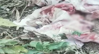 CG : रोने की आवाज आ रही थी झाड़ियों से, घायल हालत में मिली नवजात बच्ची