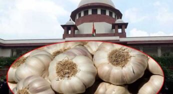 प्रदेशभर की मंडियों में फिर से लहसुन की नीलामी की प्रक्रिया बदल जाएगी, सुप्रीम कोर्ट ने दिया अंतिम निर्णय